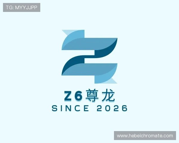 介绍Z6尊龙